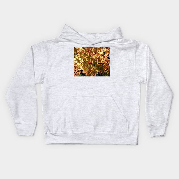 Maple Leaves in the Fall Kids Hoodie by rconyard